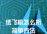 关于纸飞机靶标折法教程视频的信息