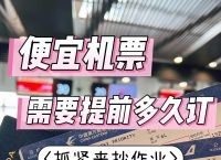飞机号购买自助下单,飞机号购买自助下单流程