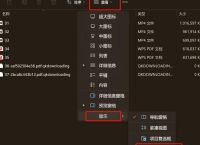 应用后缀名是什么格式的简单介绍