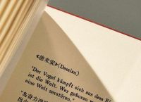 derrick翻译,der kleine postillon翻译