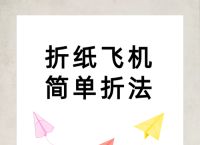 纸飞机中文语音包教程,纸飞机语言怎么转化成中文