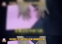 纸飞机查询,纸飞机查询个人信息违法吗