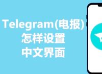 纸飞机怎么汉化中文,纸飞机怎么汉化成中文版