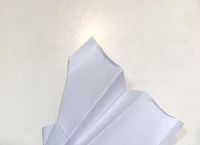 纸飞机是什么类型的诈骗,网上说的纸飞机是什么意思