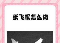 纸飞机视频怎么下到本地,纸飞机视频怎么下到本地手机