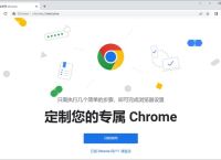 谷歌浏谷歌览器官网下载xp,谷歌浏谷歌览器官网下载手机版