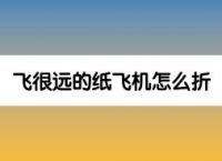[纸飞机怎么下载怎么用]纸飞机怎么下载中文版本的