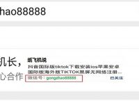 [纸飞机中文版怎么设置汉化]ios纸飞机中文版怎么设置汉化