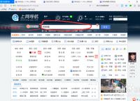 下载官网-野豹加速器下载官网