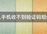 为什么纸飞机收不到验证码-为什么纸飞机搜索不到@zh_cn