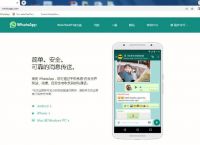 Tokenpocket下载手机app的简单介绍