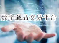 元宇宙数字藏品交易平台app有哪些-元宇宙人类的数字化生存,进入雏形探索期