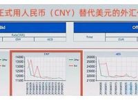 境内外币支付系统支持几个币种-境内外币支付系统可以处理什么支付类业务