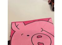 pigtoken钱包、pigtokenfinance
