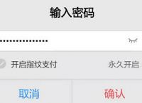 tp钱包薄饼交易,tp钱包薄饼交易所打不开