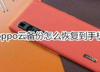 oppo手机小狐狸钱包闪退怎么解决方法呢视频,oppo手机小狐狸钱包闪退怎么解决方法呢视频教程