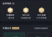 梯子加速器免费永久版,梯子加速器app免费永久
