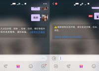 飞机app聊天软件怎么用,飞机聊天软件怎么设置中文版