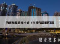 狗狗币下次牛市,狗狗币下次牛市能涨多少