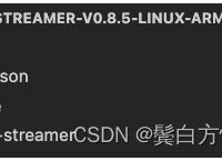RSAtoken下载,rs remake下载