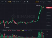 比特币今天的最新美元价格,比特币今天的最新美元价格走势