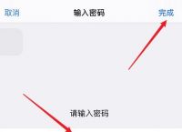 苹果钱包交易密码不正确,苹果钱包交易密码不正确怎么办