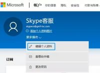 skype在线登陆,skype软件怎么登录