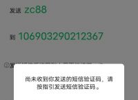 飞机telegreat注册收不到验证码,飞机telegreat收不到验证码怎么登陆