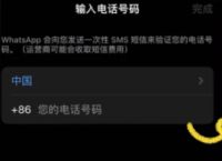 包含whatsapp中文叫什么名字的词条