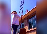 扛梯子的技巧,扛着梯子走的人读后感
