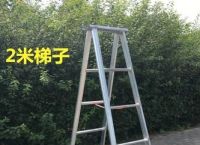 节点梯子推荐,节点梯子推荐MAC