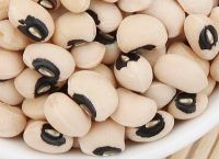 k豆是什么,k豆是什么货币