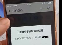 飞机手机号封了怎么办,坐飞机手机号填错了没关系吧?