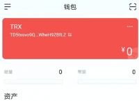 token钱包被下载怎么查询,tokenpocket钱包怎么找回