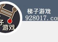 梯子游戏在哪个平台玩,梯子游戏在哪个平台玩好