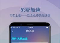 下载安装薄荷加速器,下载安装薄荷加速器安全吗