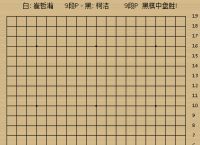 梯子网站是什么,百特白梯子网站是什么
