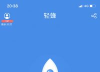 关于国外免费梯子加速器有哪些app的信息