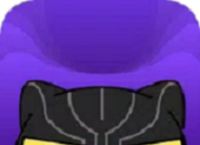 黑豹vp(永久免费)加速器下载,黑豹vp永久免费加速器下载破解版