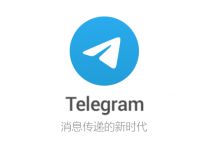 电报telegeram新版,telegeram飞鸟加速器