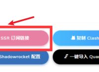 加速器外网梯子免费,加速器外网梯子免费手机版
