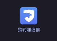 vp加速器猎豹,猎豹加速器beta
