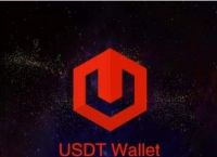 usdt钱包id怎么看,钱包地址查询usdt余额