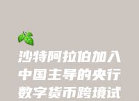 数字货币最新消息,dcep央行数字货币最新消息