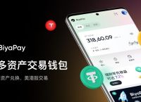 usdt钱包官方下载,usdt钱包官方下载苹果
