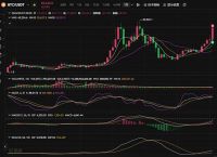 比特币人民币行情走势,比特币人民币行情走势图最新
