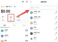 狐狸钱包手机版导入bsc链,小狐狸钱包手机版切换bsc链