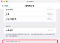 telegreat安卓版,telegreat加速器官网