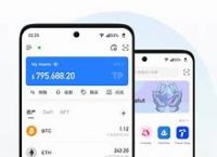 tokenpoket官网,国际抖音tiktok官网入口