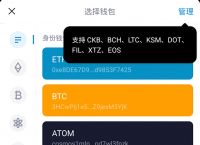 usdt数字钱包app,USDT数字钱包官方下载